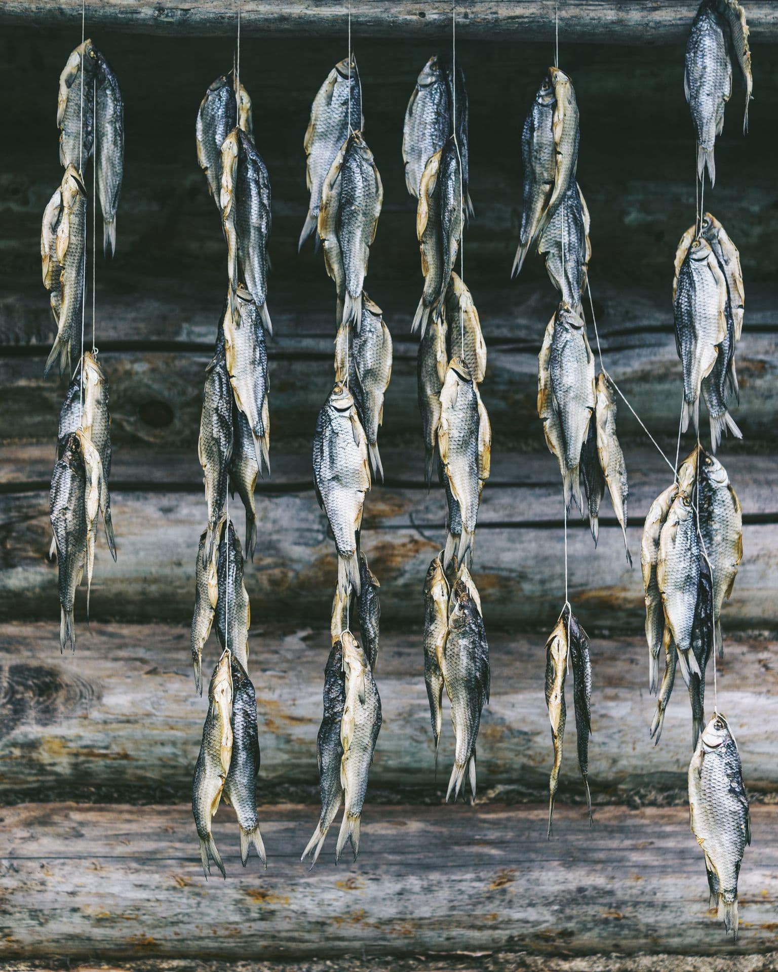 253552 Dried Fish Web Version 1920px