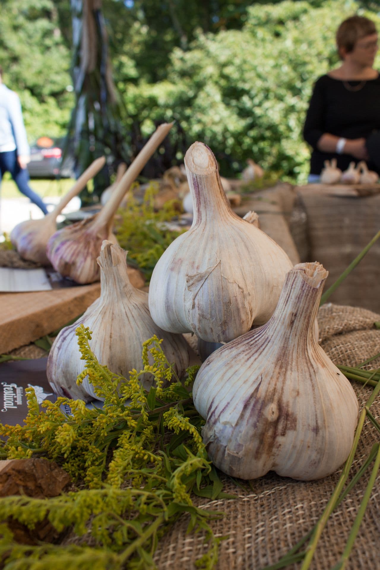 256011 Garlic Festival Web Version 1920px