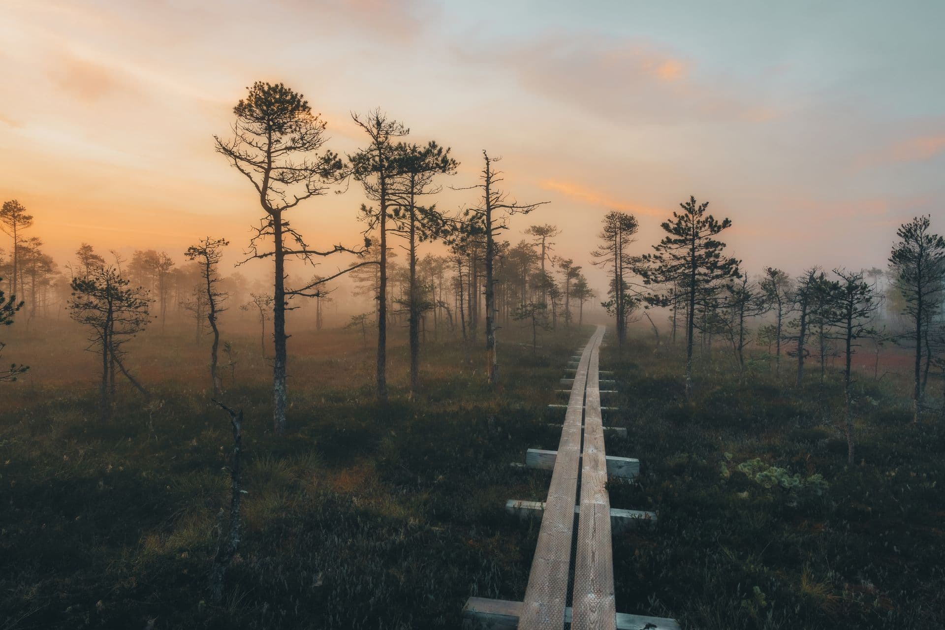 657043 Selisoo Nature Trail Web Version 1920px