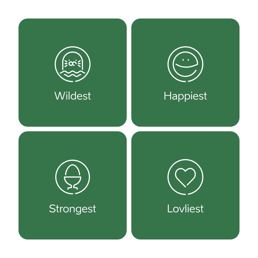 The rock is a text container for a fact.