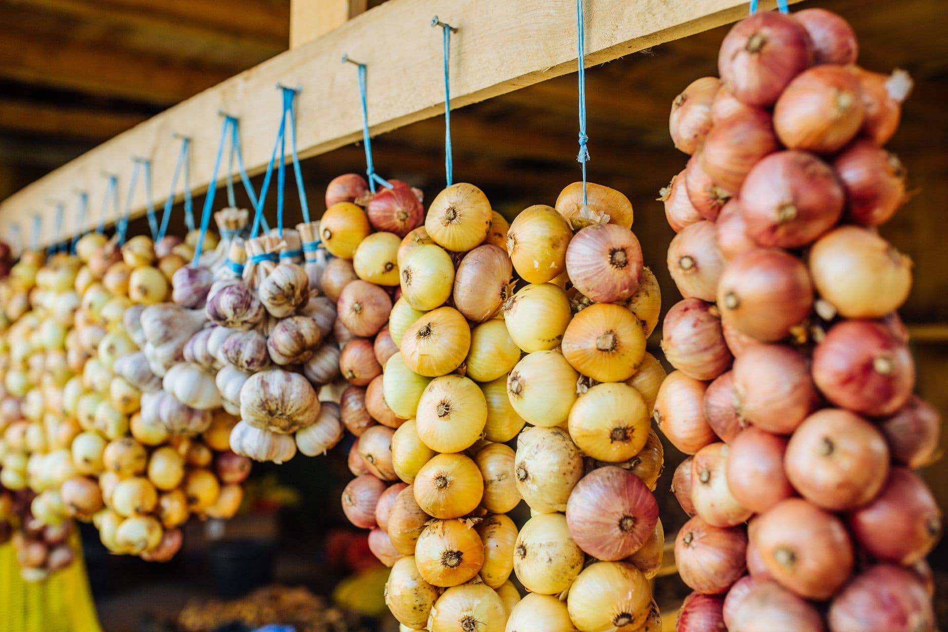 252579 Drying Onions Web Version 1920px