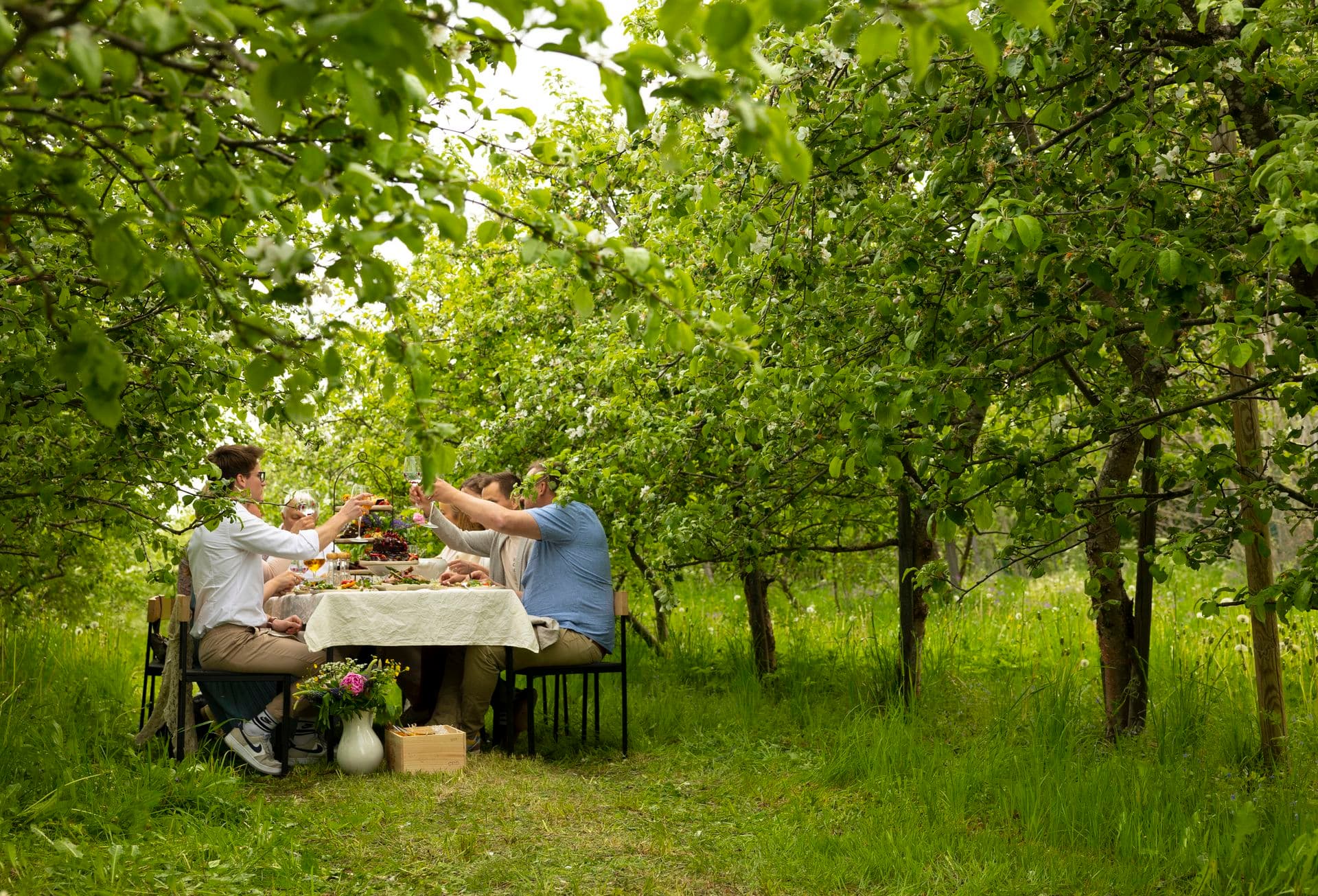 438074 Group of People Enjoying Meal Web Version 1920px