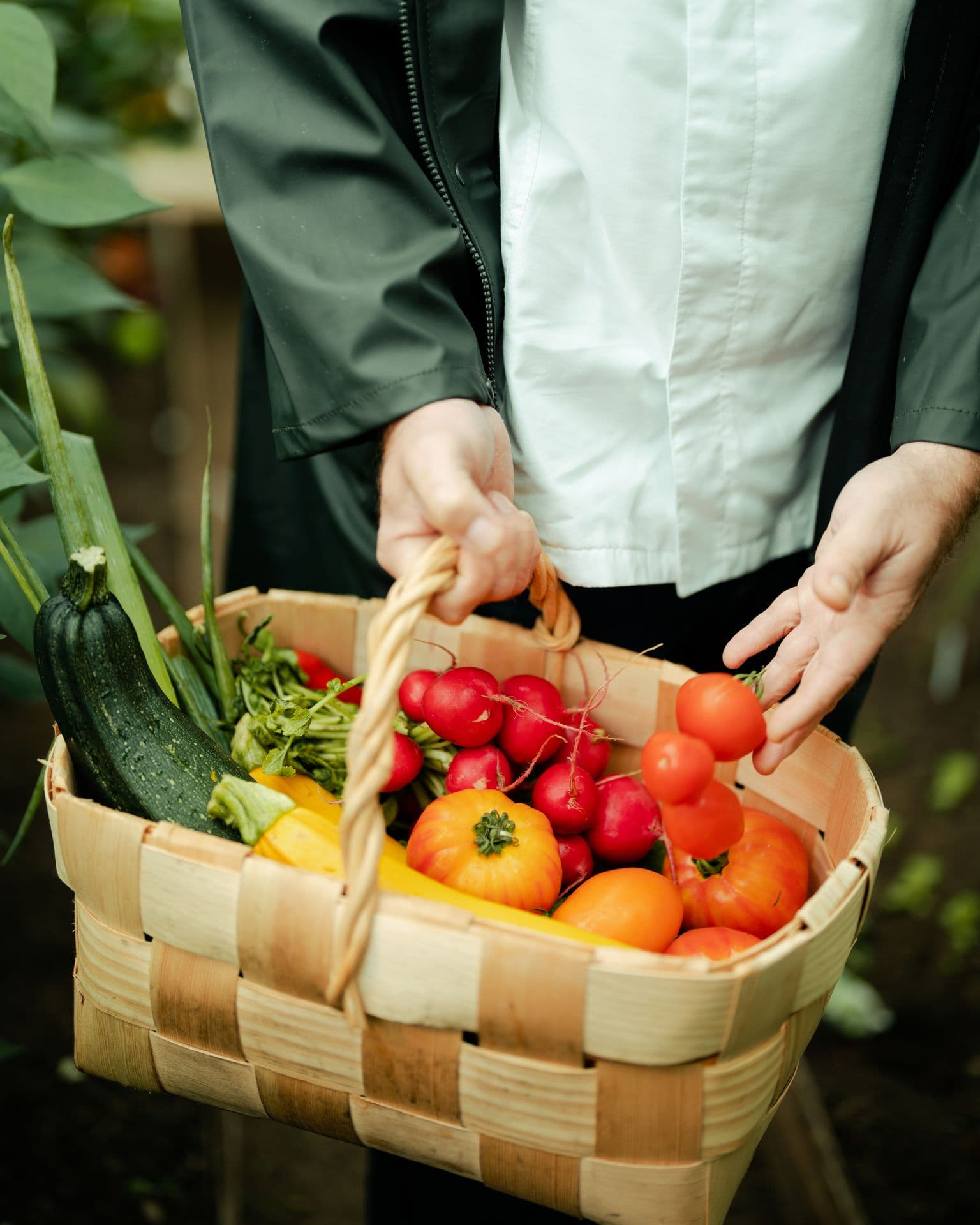 751185 Fresh Vegetables Web Version 1920px