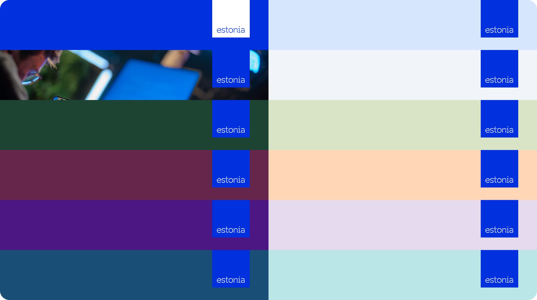 Use the blue wordmark across all color palettes in the design system.