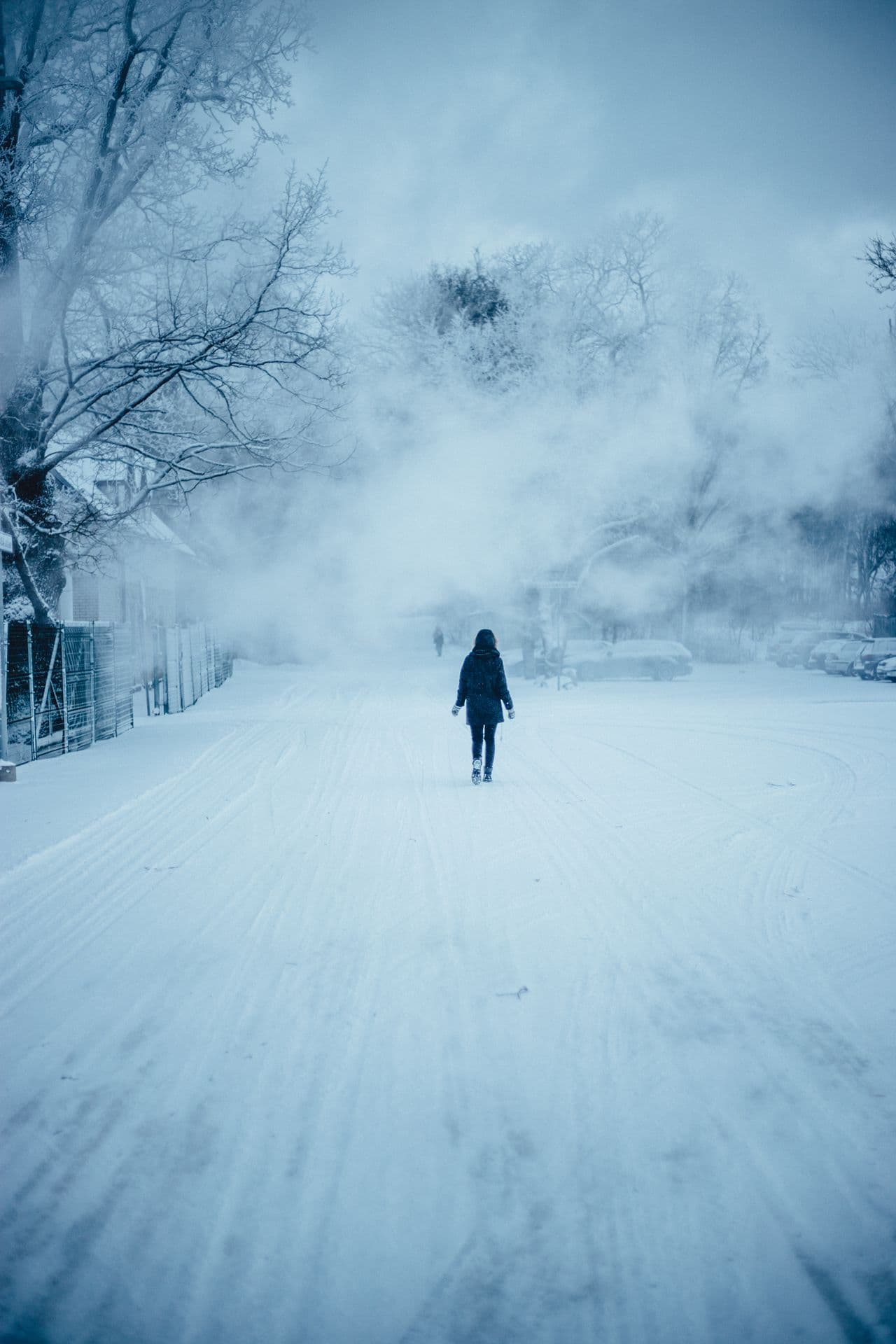 253442 Winter Walk in Snow Web Version 1920px