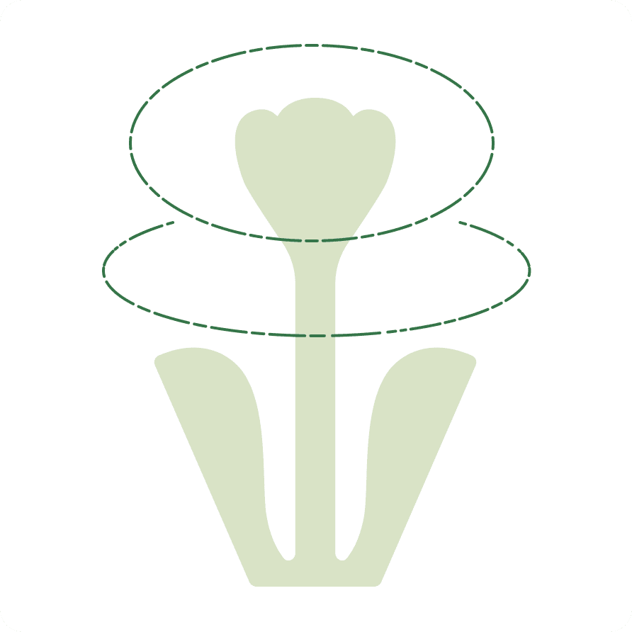 Movement has been added to the flower form through a broken line.