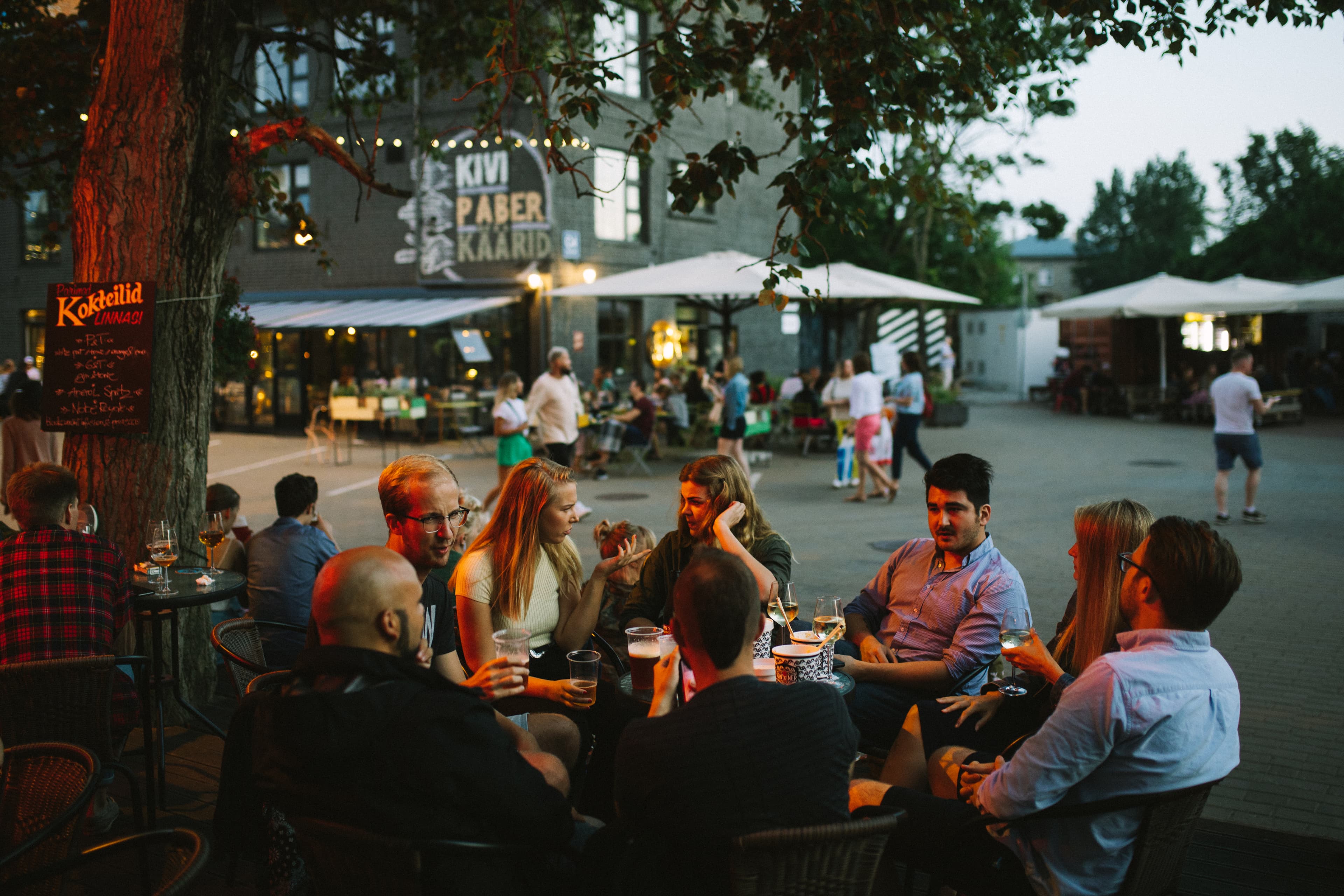 Friends Gathering in a Bar Rasmus Jurkatam