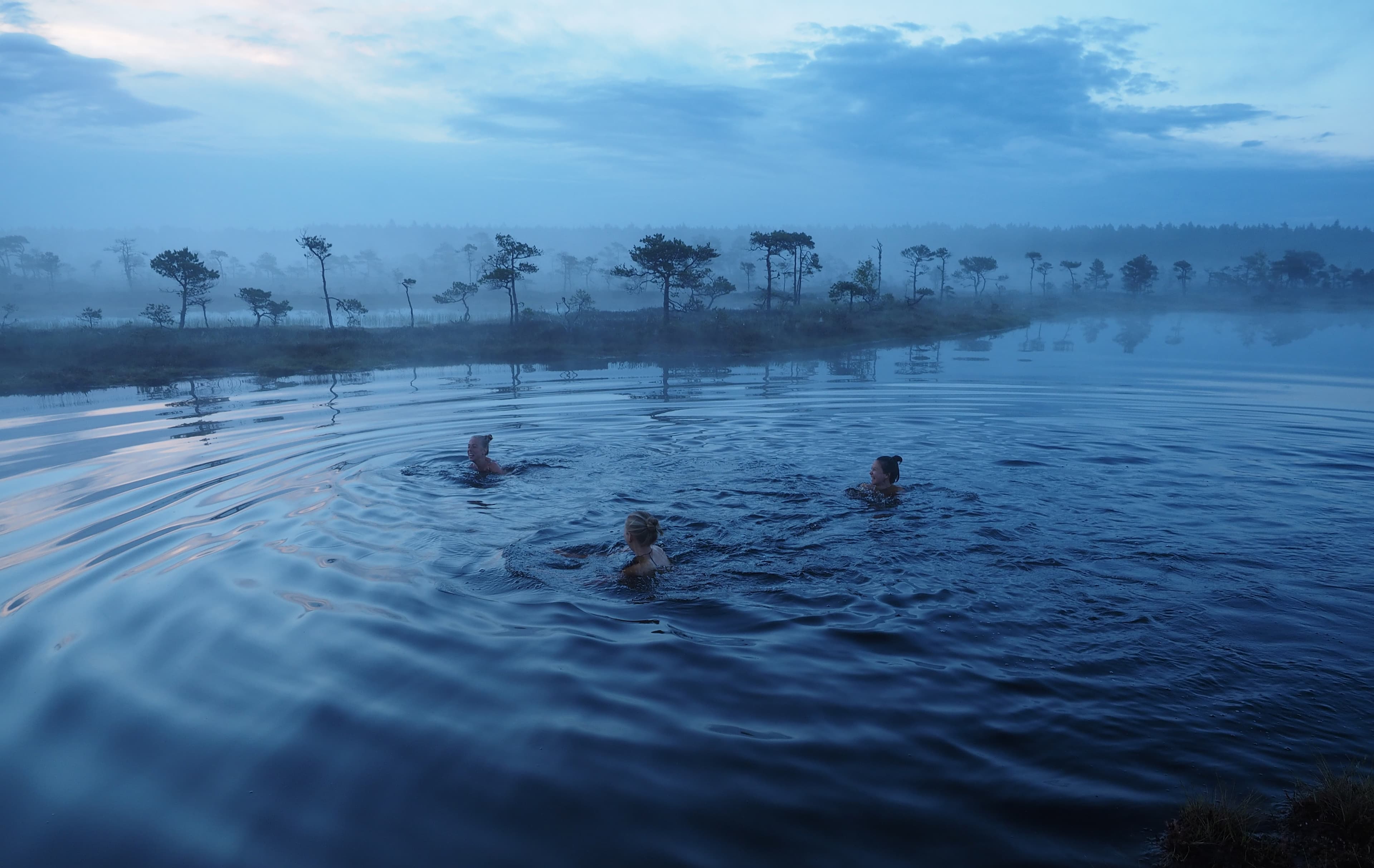 Bog Swimming