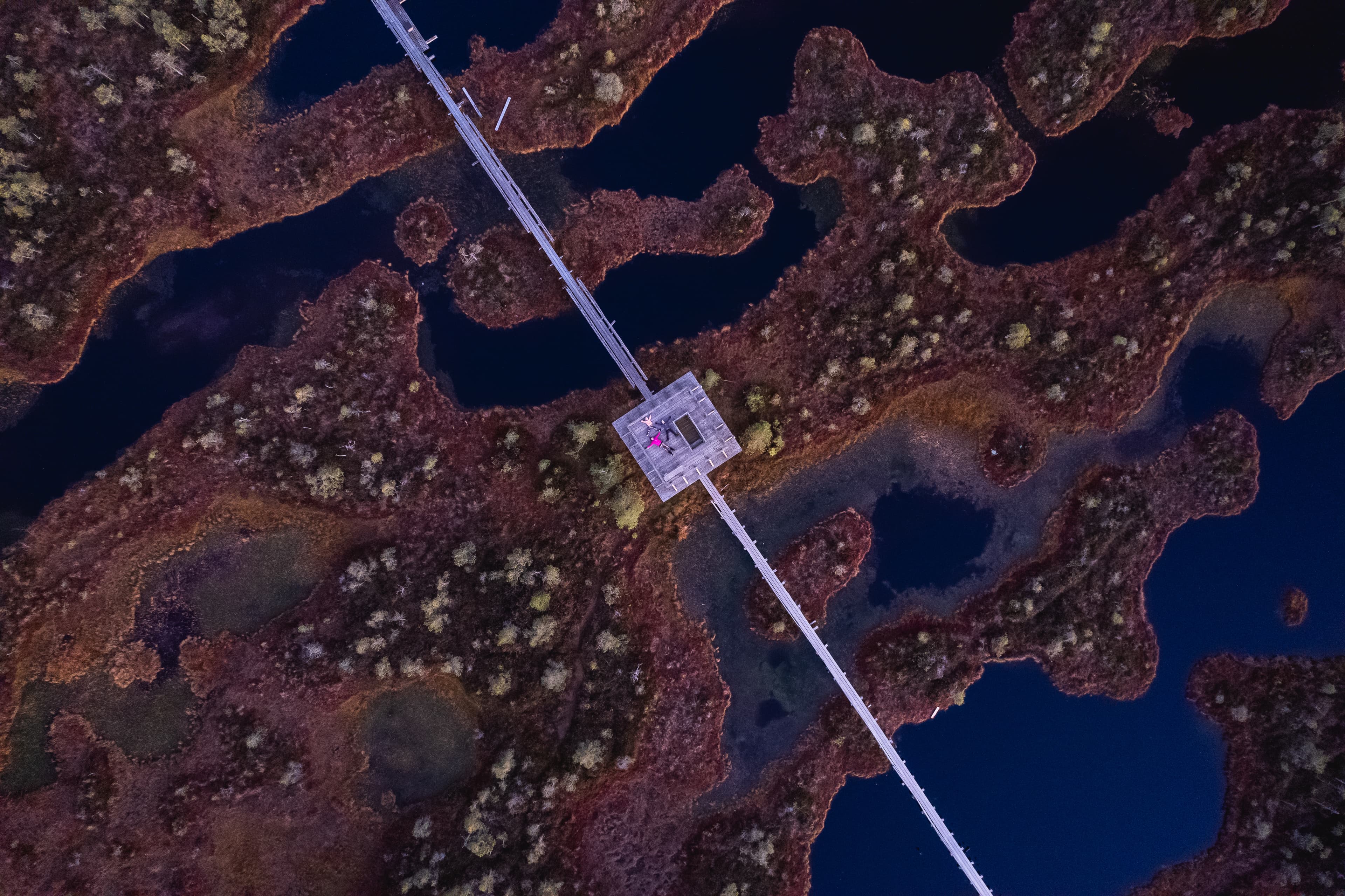 17 Oct2021 183025 Dji 0865 Photo Silver Gutmann